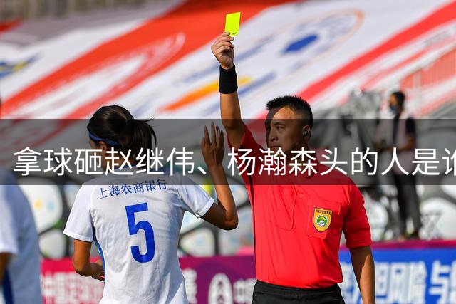 拿球砸赵继伟、杨瀚森头的人是谁？苏群进行了解答